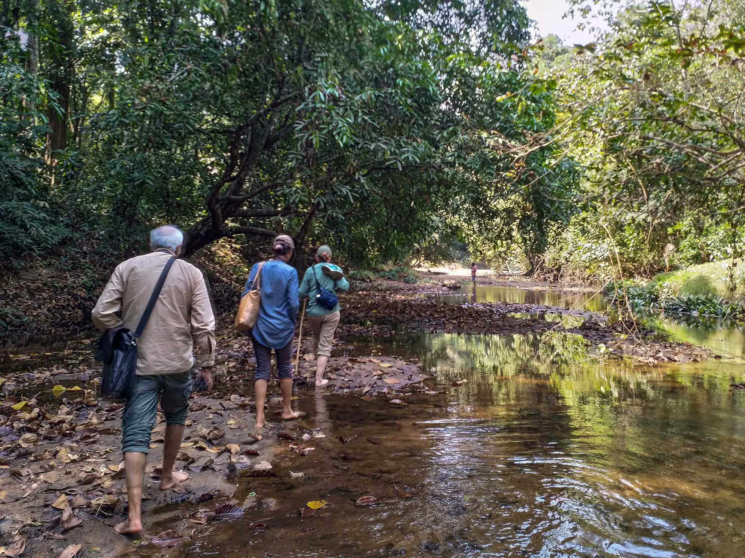 Guided Sanctuary Trail